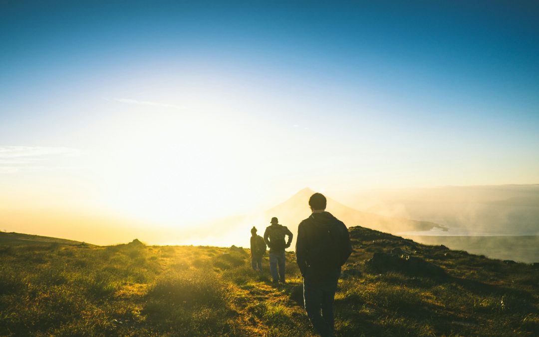 Outdoor Activities for Team Building Success